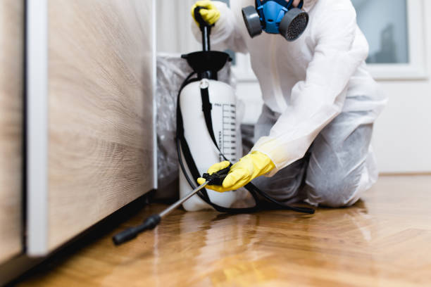 Best Exterminator Services  in Lowesville, NC