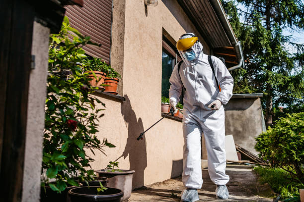 Best Affordable Pest Control Services  in Lowesville, NC