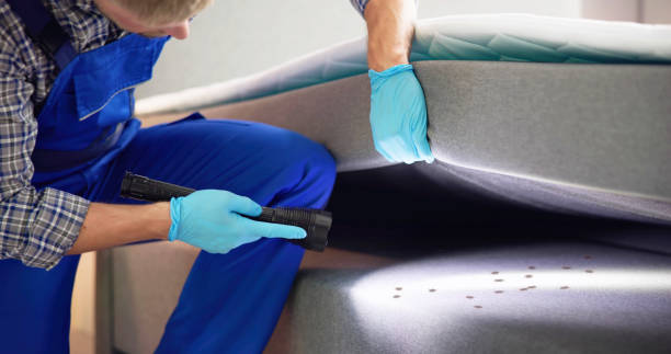 Best Wasp Removal Services  in Lowesville, NC