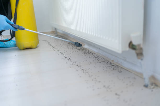 Best Pest Prevention Services  in Lowesville, NC
