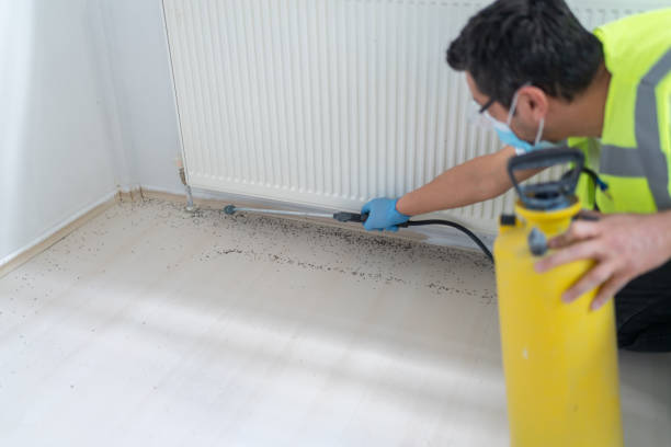Best Pest Control Near Me  in Lowesville, NC